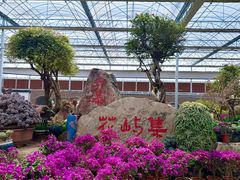 -沂蒙云瀑洞天景区