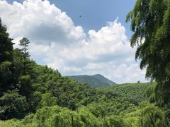 -藏龙百瀑风景区