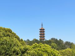 -天下玉苑