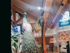 -寻滇记云南鲜牛肉火锅(北海路店)