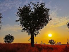 -汉长安城未央宫国家考古遗址公园