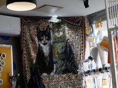 -平行世界·猫咖(首经贸店)
