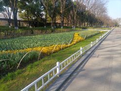 -玄武湖景区-情侣园游乐场