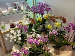 -EPOQUE·一刻花店(兴业太古汇店)