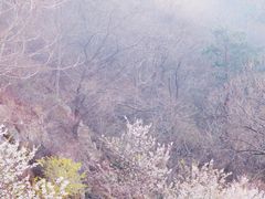 -崂山九水游览区