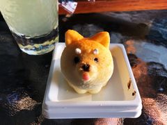 -柴犬高等学院·狗咖·柴犬售卖·宠物训练