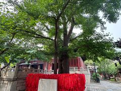 -红螺寺