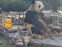 -大连森林动物园