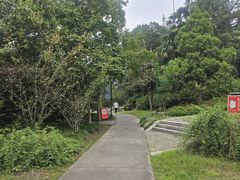 -扬州大运河文化旅游度假区·盆景园