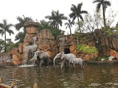 -美的鹭湖探索王国