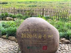 -中国茶叶博物馆(双峰馆区)