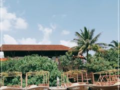 -东寨港红树林旅游区