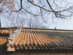 -青岛崂山太清宫