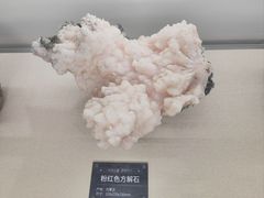 -中国地质博物馆