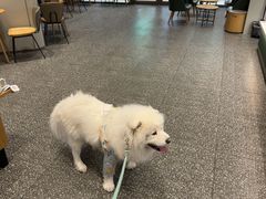 -星巴克(成都泛悦城市广场店)