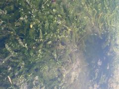 -苏州太湖湖滨国家湿地公园
