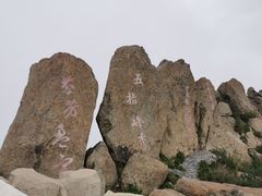 -白草畔自然风景区