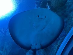 -珠海长隆海洋王国