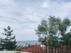 -养马岛旅游度假区