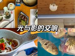 -天正河鲀·河豚亭(大连店)