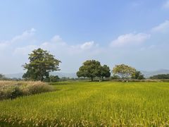 -良渚古城遗址公园