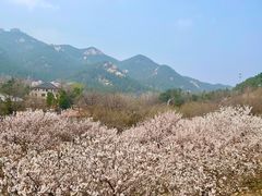 -崂山九水游览区