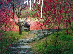 -桃花涧