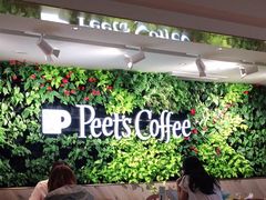 大堂-Peet's Coffee皮爷咖啡(大学路店)