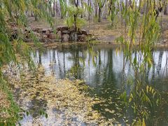 -长春公园(普阳街道)