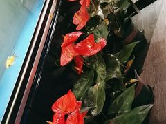 -湖锦酒楼·30年经典湖北菜(沌口店)