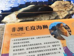 -海合安成都极地海洋公园