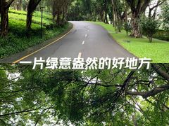 -深圳国际园林花卉博览园