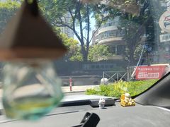 -新湖明珠城