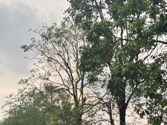-燕晗山郊野公园