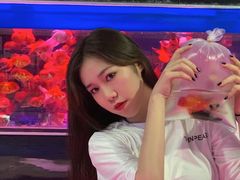 -桂林市花鸟市场