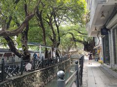 -小洲村