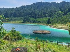 -武陵山森林公园