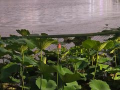 -悦界酒吧(后海店)