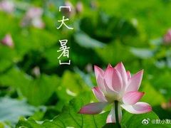 -CoCo都可(香港名都店)