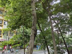 -成都市活水公园