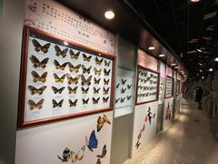 -吉林省自然博物馆