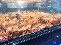 -轩记海鲜餐厅·四十五年老字号·经典粤菜(西区彩虹店)