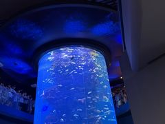 -青岛海底世界-水族馆
