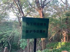 -紫金山山顶公园