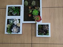 -素心素食(翠苑店)