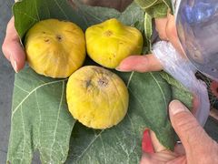 -金柱大盘鸡(南门店)