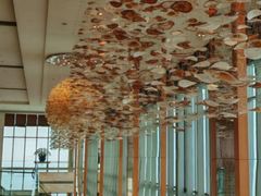 -视界美食自助餐厅·石家庄希尔顿酒店