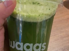 -Wagas沃歌斯(港汇恒隆广场店)