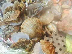-船梆煮•蒸汽海鲜·生腌干蒸(五四广场店)