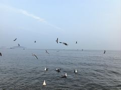 -银沙滩浴场